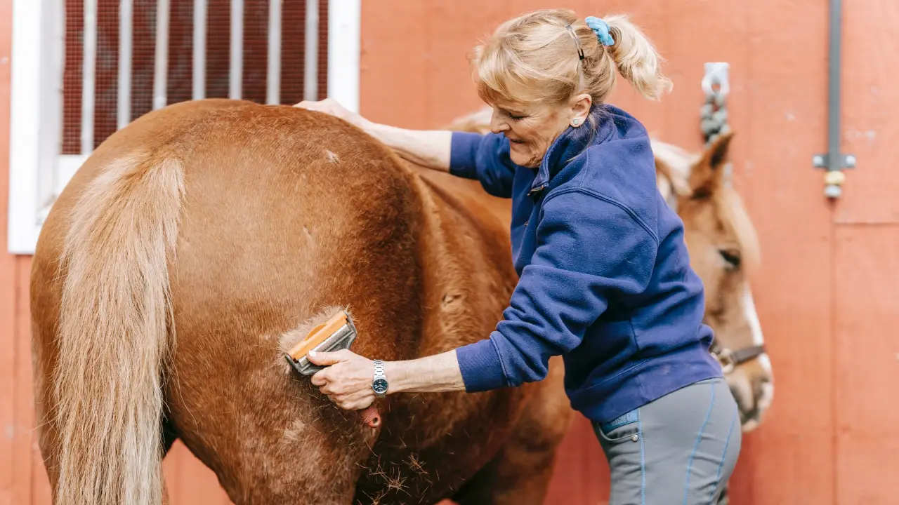 Sindrome di Cushing nel cavallo